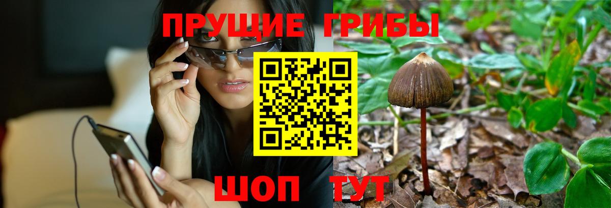 Псилоцибиновые грибы MAGIC MUSHROOMS Ленинск-Кузнецкий